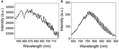 Latent Fingermark Imaging by Single-Metal Deposition of Gold Nanoparticles and Surface Enhanced Raman Spectroscopy